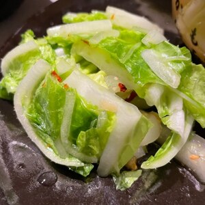 白菜の白だし漬け物